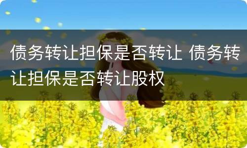 债务转让担保是否转让 债务转让担保是否转让股权