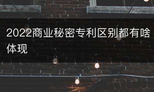 2022商业秘密专利区别都有啥体现
