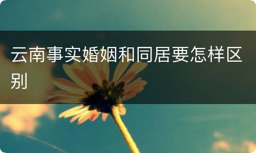 云南事实婚姻和同居要怎样区别