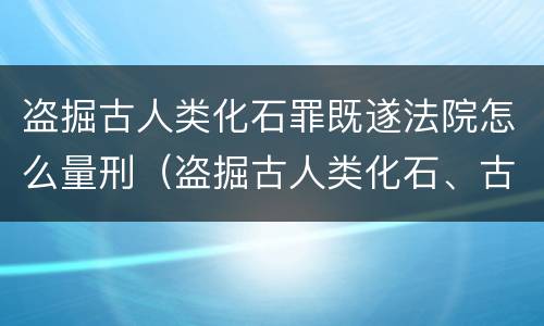 盗掘古人类化石罪既遂法院怎么量刑（盗掘古人类化石、古脊椎动物化石罪）