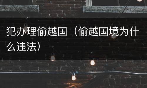 犯办理偷越国（偷越国境为什么违法）