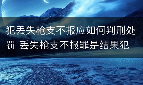 犯丢失枪支不报应如何判刑处罚 丢失枪支不报罪是结果犯