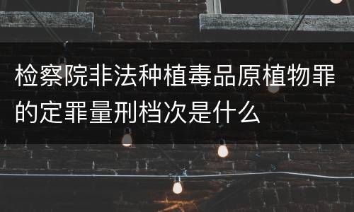 检察院非法种植毒品原植物罪的定罪量刑档次是什么