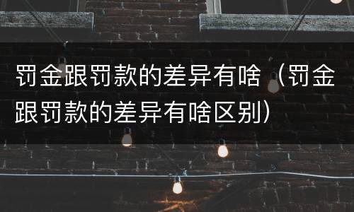 罚金跟罚款的差异有啥（罚金跟罚款的差异有啥区别）