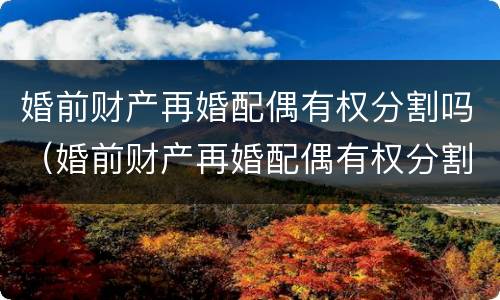 婚前财产再婚配偶有权分割吗（婚前财产再婚配偶有权分割吗）