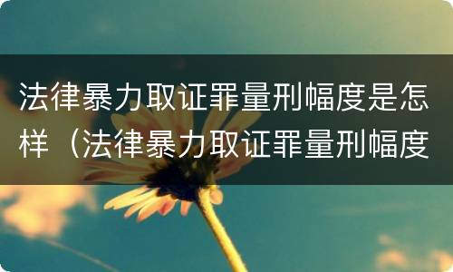法律暴力取证罪量刑幅度是怎样（法律暴力取证罪量刑幅度是怎样定的）