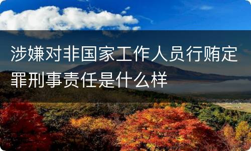 涉嫌对非国家工作人员行贿定罪刑事责任是什么样