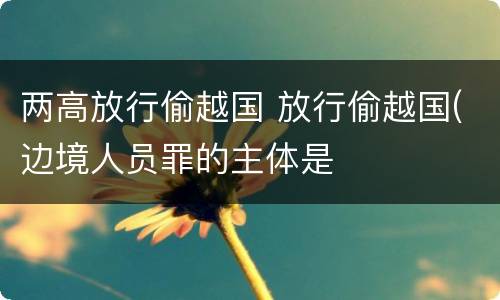 两高放行偷越国 放行偷越国(边境人员罪的主体是