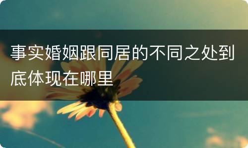 事实婚姻跟同居的不同之处到底体现在哪里