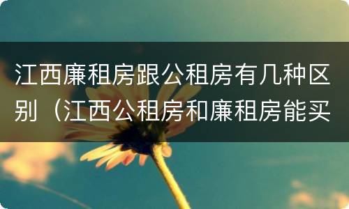 江西廉租房跟公租房有几种区别（江西公租房和廉租房能买吗）