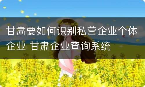 甘肃要如何识别私营企业个体企业 甘肃企业查询系统