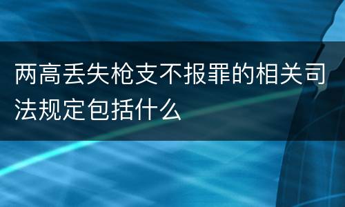 两高丢失枪支不报罪的相关司法规定包括什么