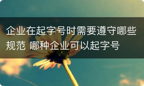 企业在起字号时需要遵守哪些规范 哪种企业可以起字号