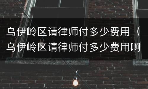 乌伊岭区请律师付多少费用（乌伊岭区请律师付多少费用啊）
