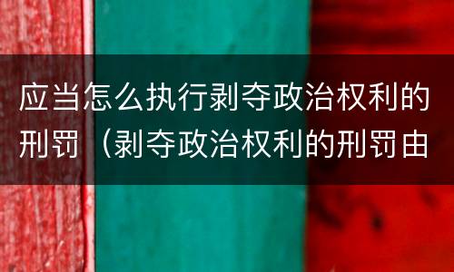 应当怎么执行剥夺政治权利的刑罚（剥夺政治权利的刑罚由谁执行）
