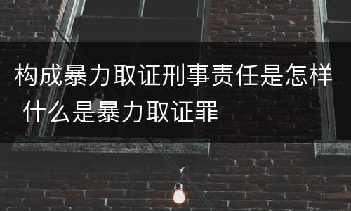 构成暴力取证刑事责任是怎样 什么是暴力取证罪