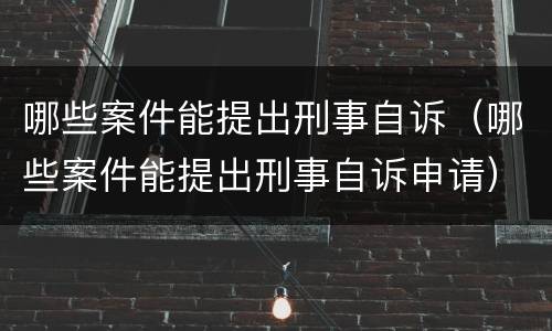 哪些案件能提出刑事自诉（哪些案件能提出刑事自诉申请）
