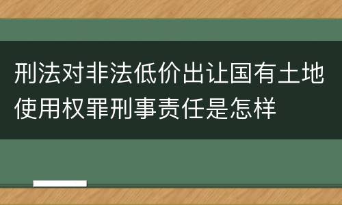 刑法对非法低价出让国有土地使用权罪刑事责任是怎样
