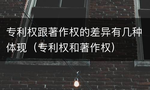 专利权跟著作权的差异有几种体现（专利权和著作权）