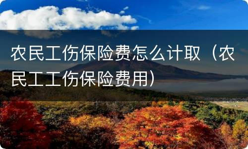 农民工伤保险费怎么计取（农民工工伤保险费用）