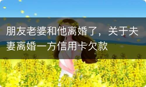 朋友老婆和他离婚了，关于夫妻离婚一方信用卡欠款