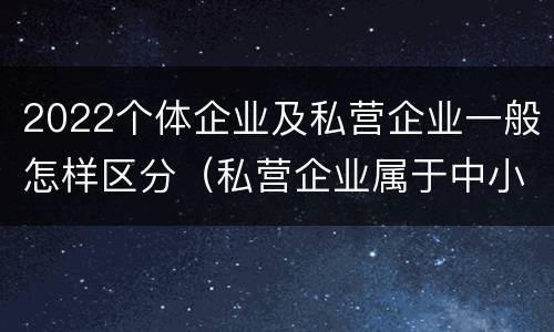 2022个体企业及私营企业一般怎样区分（私营企业属于中小企业吗）