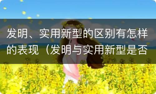 发明、实用新型的区别有怎样的表现（发明与实用新型是否具有实用性）