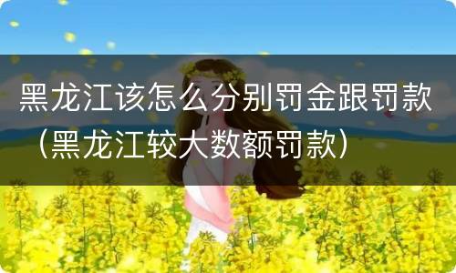 黑龙江该怎么分别罚金跟罚款（黑龙江较大数额罚款）