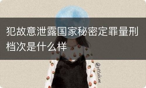 犯故意泄露国家秘密定罪量刑档次是什么样