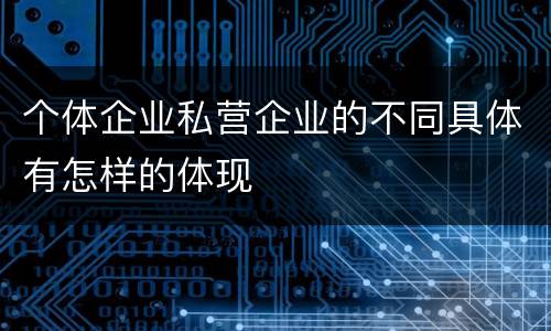 个体企业私营企业的不同具体有怎样的体现
