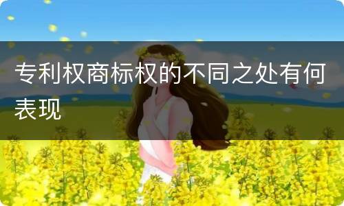 专利权商标权的不同之处有何表现