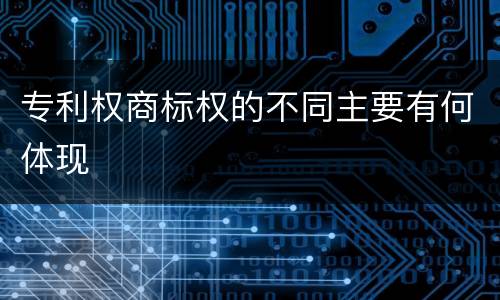 专利权商标权的不同主要有何体现