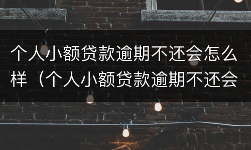 个人小额贷款逾期不还会怎么样（个人小额贷款逾期不还会怎么样吗）