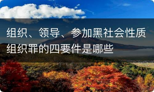 组织、领导、参加黑社会性质组织罪的四要件是哪些