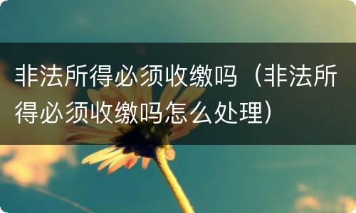 非法所得必须收缴吗（非法所得必须收缴吗怎么处理）