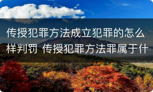 传授犯罪方法成立犯罪的怎么样判罚 传授犯罪方法罪属于什么罪