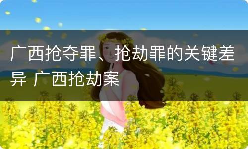 广西抢夺罪、抢劫罪的关键差异 广西抢劫案