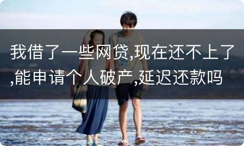 我借了一些网贷,现在还不上了,能申请个人破产,延迟还款吗