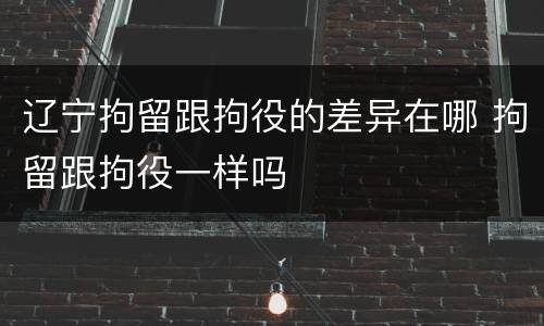 辽宁拘留跟拘役的差异在哪 拘留跟拘役一样吗