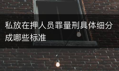 私放在押人员罪量刑具体细分成哪些标准