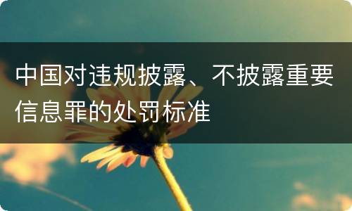 中国对违规披露、不披露重要信息罪的处罚标准