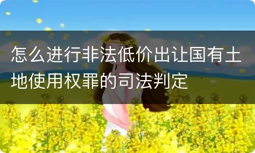 怎么进行非法低价出让国有土地使用权罪的司法判定