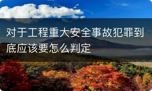 对于工程重大安全事故犯罪到底应该要怎么判定