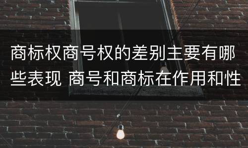商标权商号权的差别主要有哪些表现 商号和商标在作用和性质上的区别