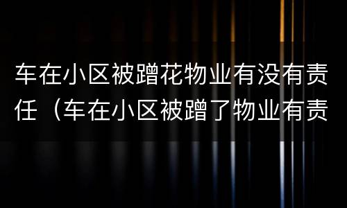车在小区被蹭花物业有没有责任（车在小区被蹭了物业有责任吗）