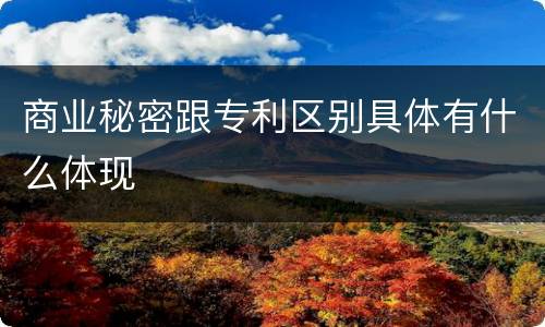 商业秘密跟专利区别具体有什么体现