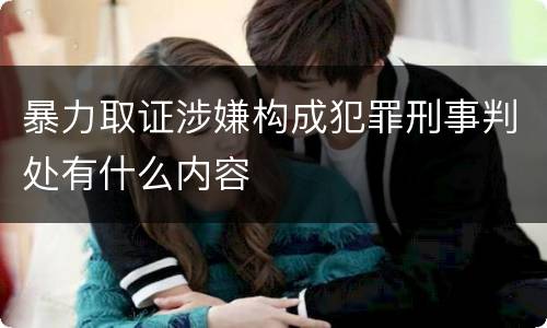 暴力取证涉嫌构成犯罪刑事判处有什么内容