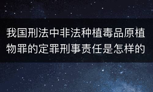 我国刑法中非法种植毒品原植物罪的定罪刑事责任是怎样的