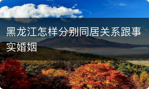 黑龙江怎样分别同居关系跟事实婚姻