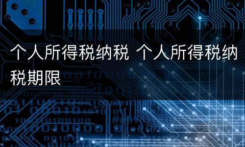 个人所得税纳税 个人所得税纳税期限